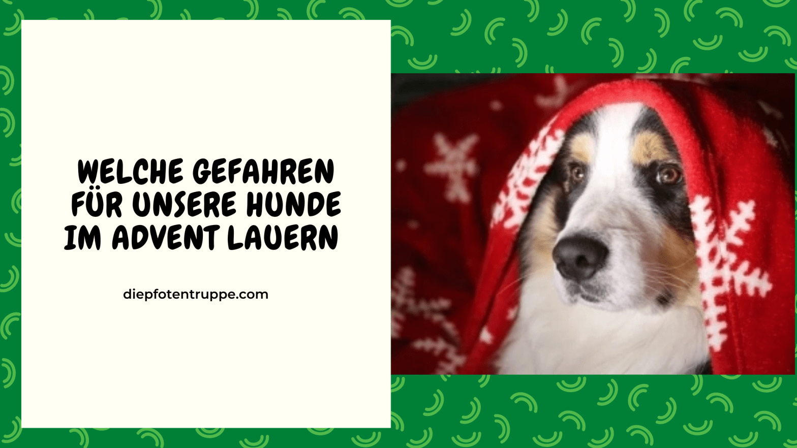 Advent – die Gefahrenzeit für&nbsp;Hunde