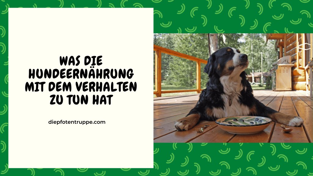 Was hat Hundeernährung mit dem Verhalten zu&nbsp;tun?