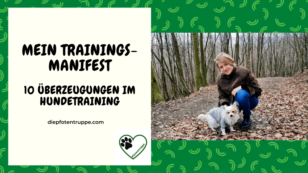 Mein Trainings-Manifest