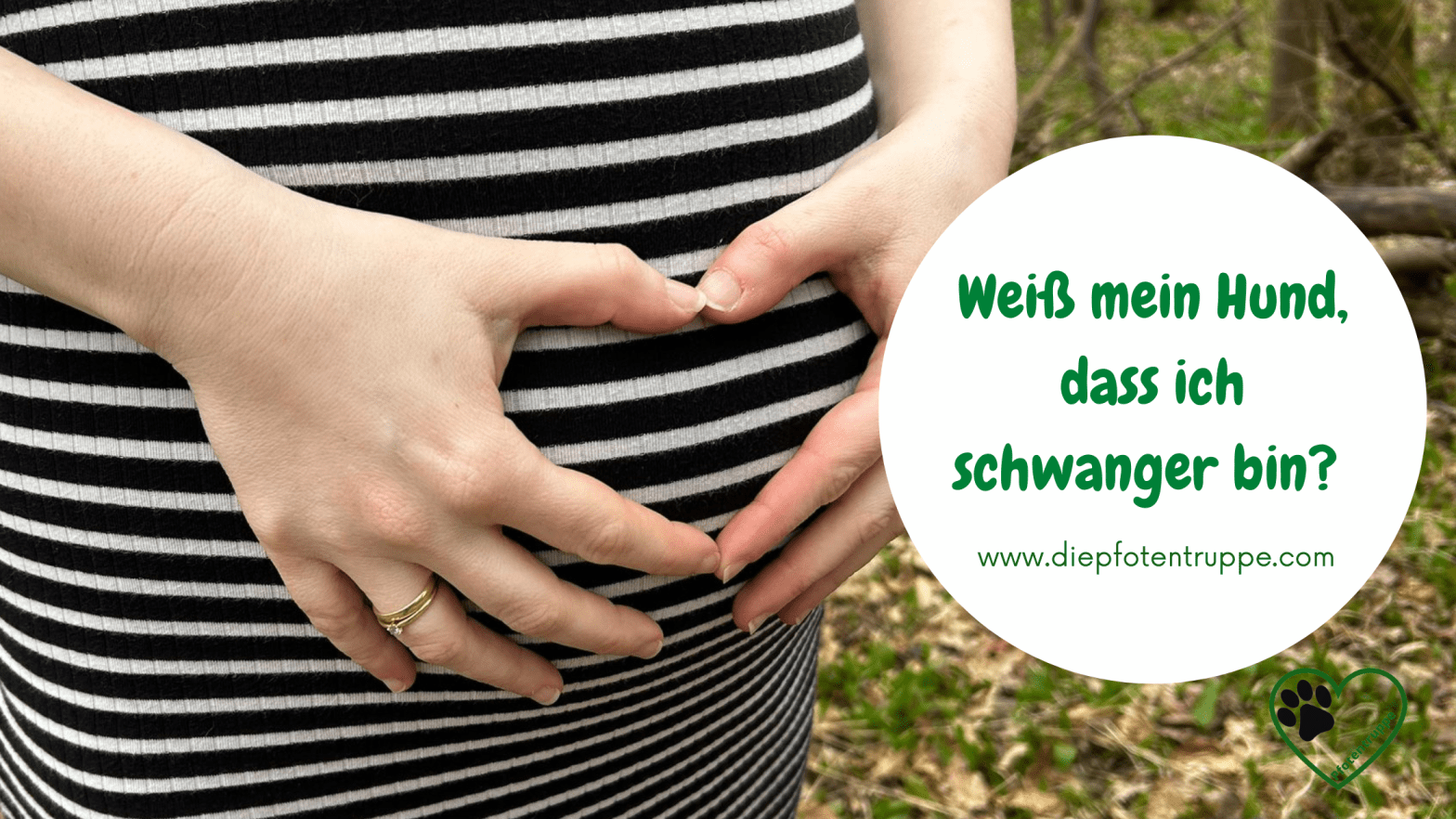 Weiß mein Hund, dass ich schwanger bin?
